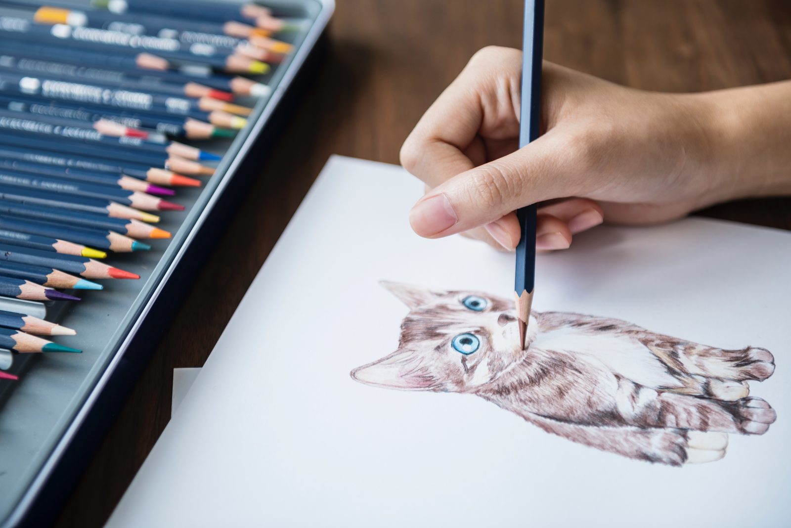 art; journal; draw; cat