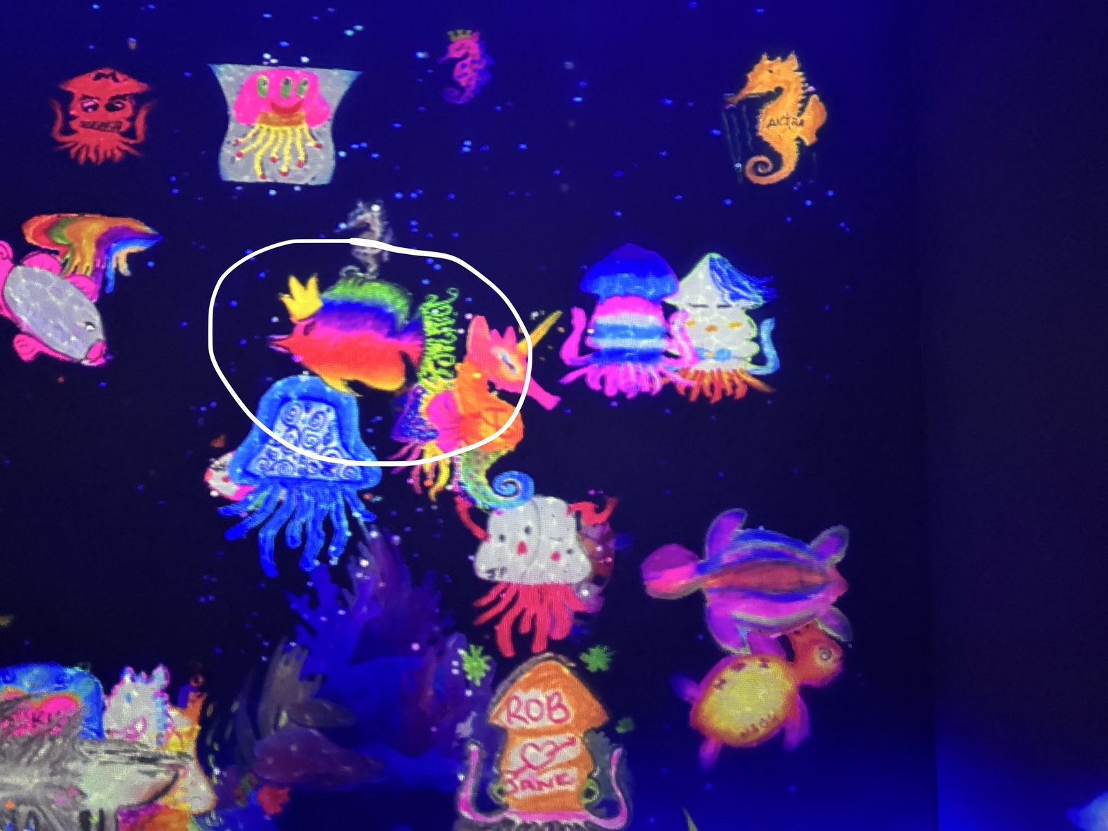 A dark lit digital art aquarium wall in Tokyo, where visitors can see their own creations in the art